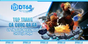Top trang cá cược đá gà uy tín được nhiều người chơi lựa chọn