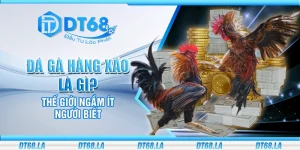 Đá gà hàng xáo là gì? Thế giới ngầm ít người biết