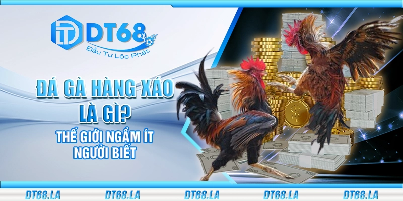 Đá gà hàng xáo là gì? Thế giới ngầm ít người biết