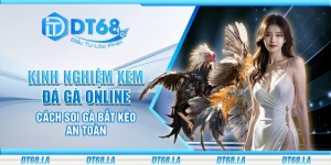 Kinh nghiệm xem đá gà online - Cách soi gà bắt kèo an toàn