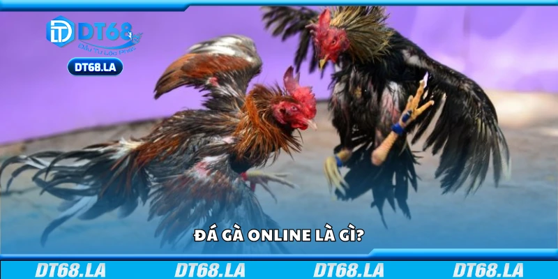 Thông tin cơ bản về đá gà online