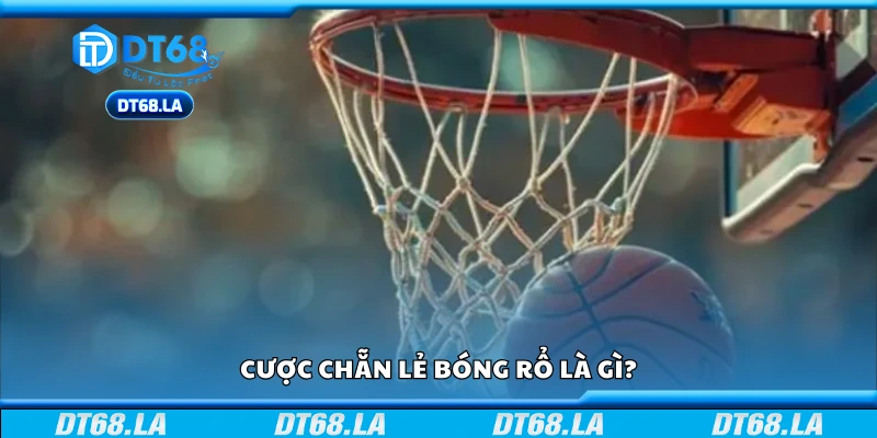 Tổng quan về cược chẵn lẻ bóng rổ 