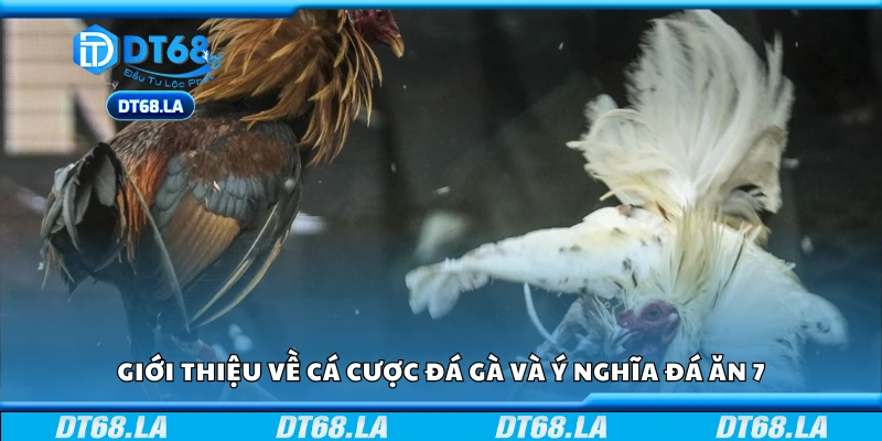 Tìm hiểu về cá cược đá gà và ý nghĩa đá ăn 7