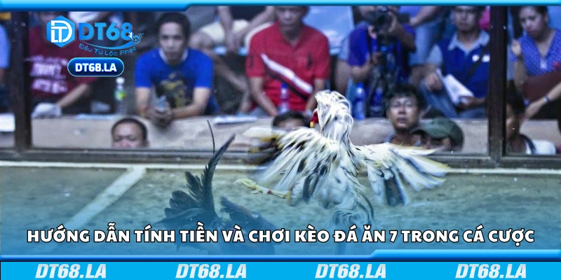 Cách tính tiền và chơi kèo đá ăn 7 trong cá cược