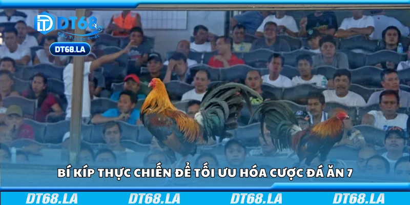 Bí kíp thực chiến để tối ưu hóa cược đá ăn 7