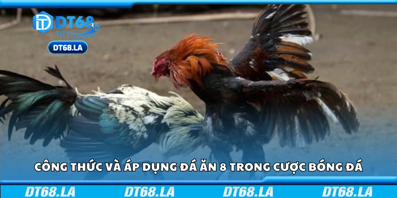 Công thức và áp dụng đá ăn 8 