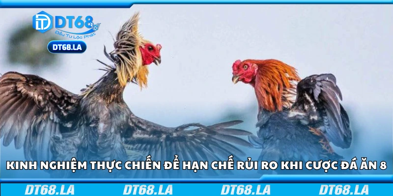 Kinh nghiệm thực chiến để hạn chế rủi ro khi cược Đá ăn 8