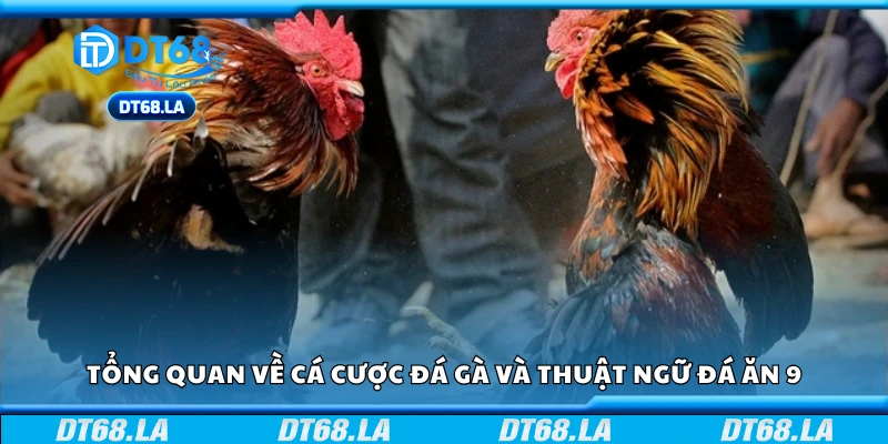 Tổng quan về cá cược đá gà và thuật ngữ đá ăn 9