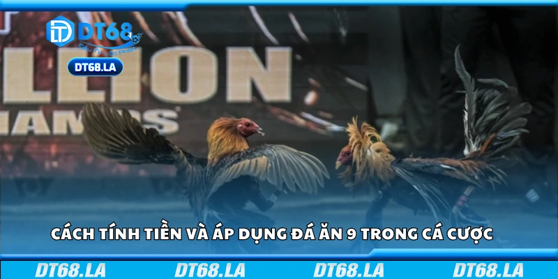 Hướng dẫn tính tiền và áp dụng Đá ăn 9 trong cá cược