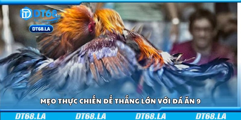 Một số mẹo thực chiến để thắng lớn với đá ăn 9