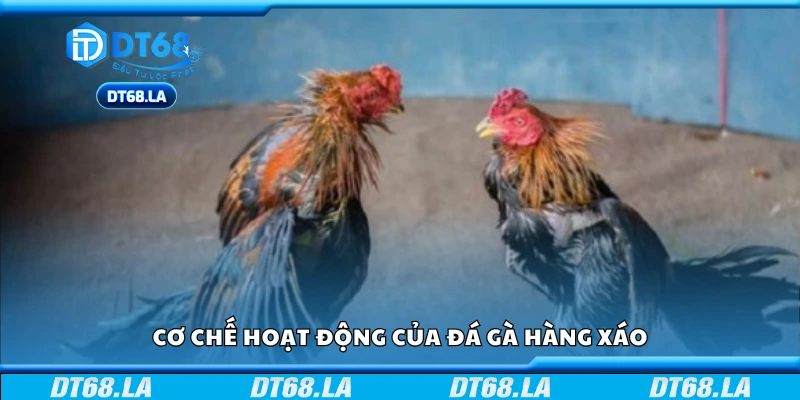 Khám phá cơ chế hoạt động của đá gà hàng xáo