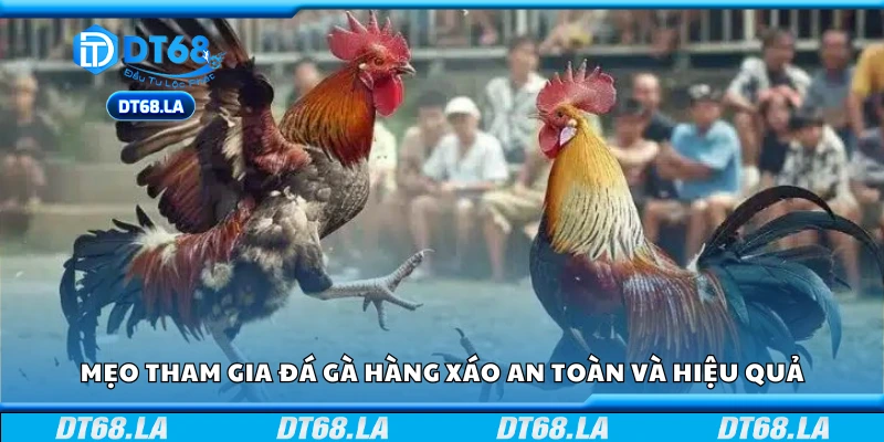 Mẹo tham gia đá gà hàng xáo an toàn và hiệu quả