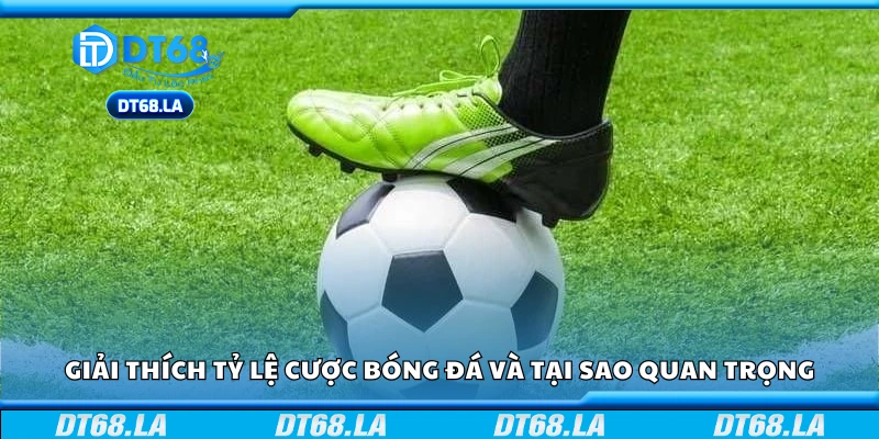 Giải thích tỷ lệ cược bóng đá và tại sao quan trọng