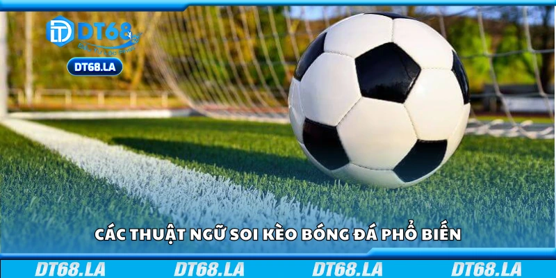 Một số thuật ngữ soi kèo bóng đá phổ biến
