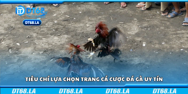 Các tiêu chí lựa chọn trang cá cược đá gà uy tín