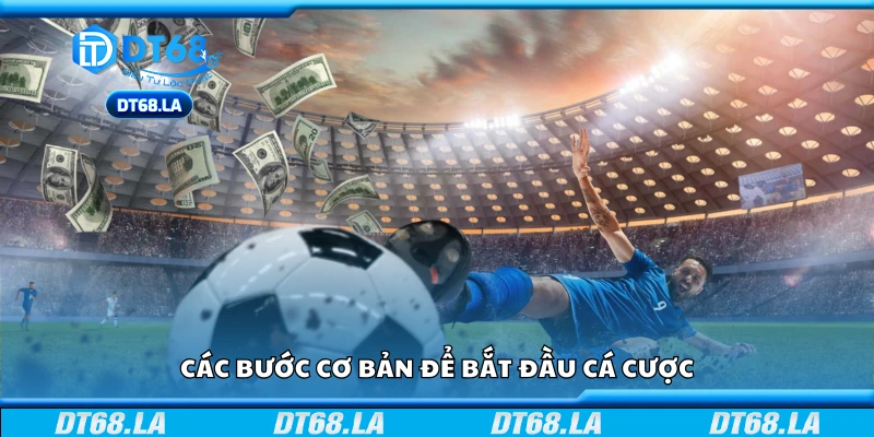 Quy trình cơ bản cho người mới bắt đầu cá cược