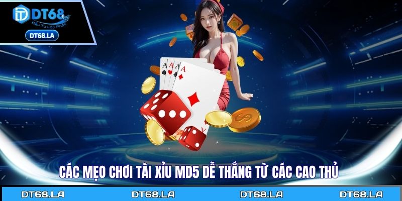 Các mẹo chơi tài xỉu MD5 dễ thắng từ các cao thủ
